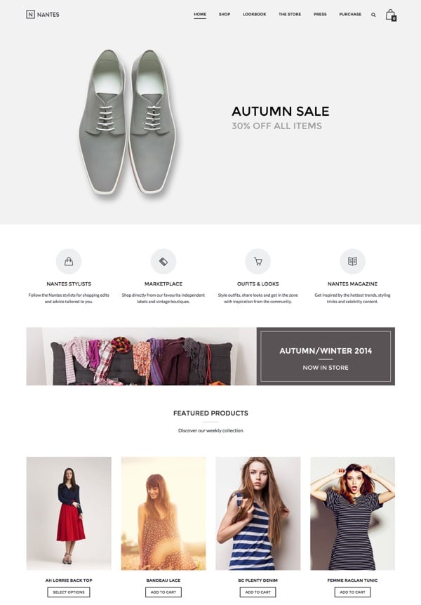 Le thème WordPress Nantes