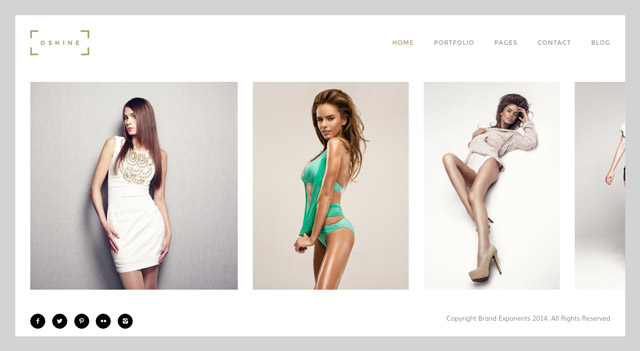 Oshine : un thème WordPress photo