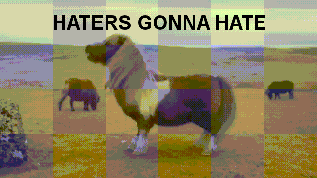 Haters gonna hate