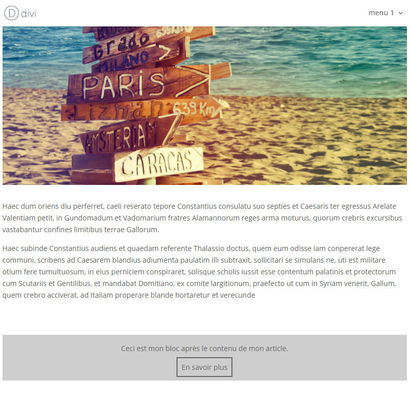 bloc perso article snippet wpmarmite