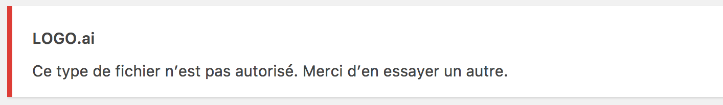 extensions interdites snippets wpmarmite