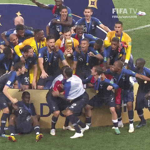 Équipe de France de football à la Coupe du monde 2018.