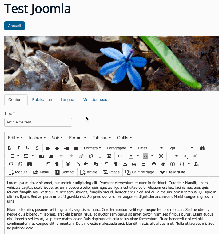 Edition d'un article en front-end sur Joomla