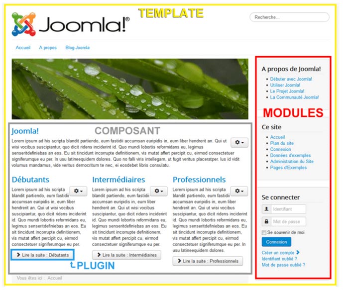 Joomla ou WordPress : un aperçu des extensions sur Joomla