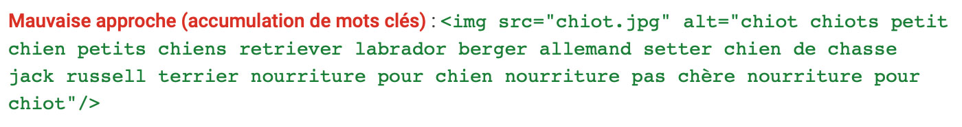 Un exemple d'attribut alt sur-optimisé