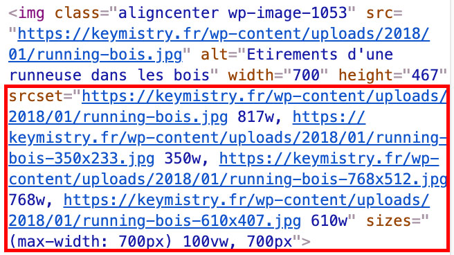 L'attribut secret dans le code HTML d'une image