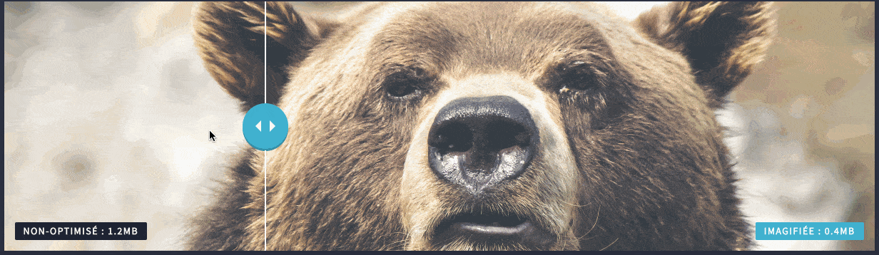 Optimisation d'une image sur Imagify