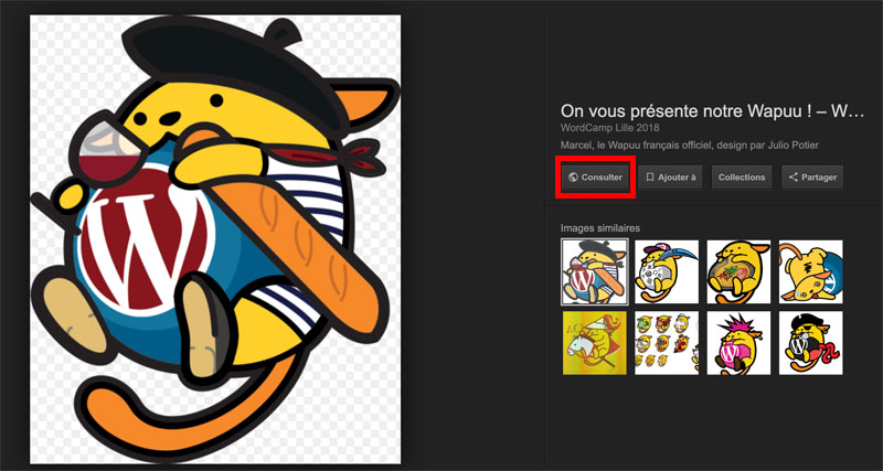 Le Wapuu du WordCamp Lille