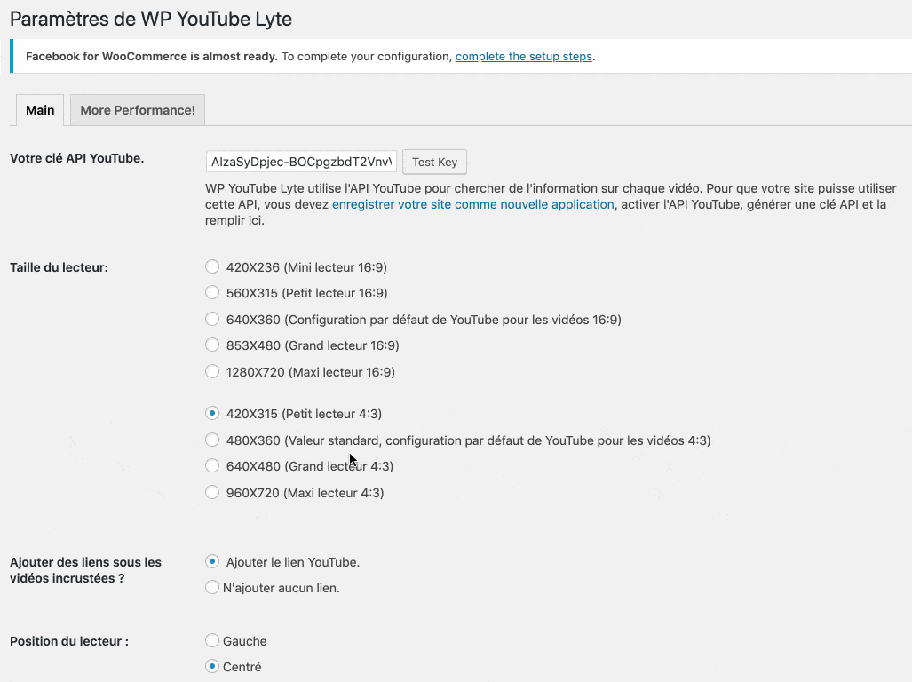 Paramètres de WP YouTube Lyte
