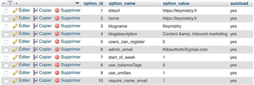 La table wp_options de la base de données WordPress.