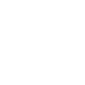 Logo Divi