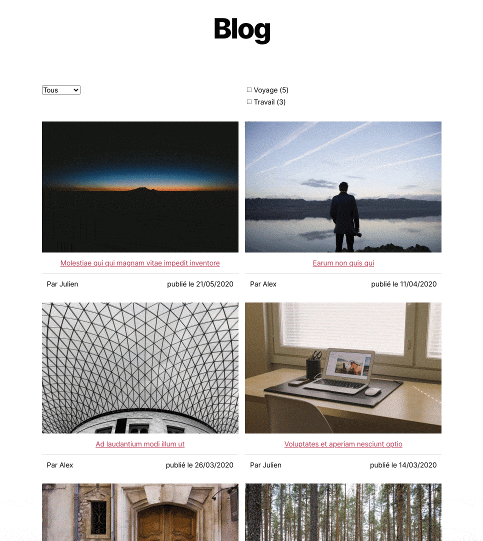 Démo du plugin de facettes WordPress