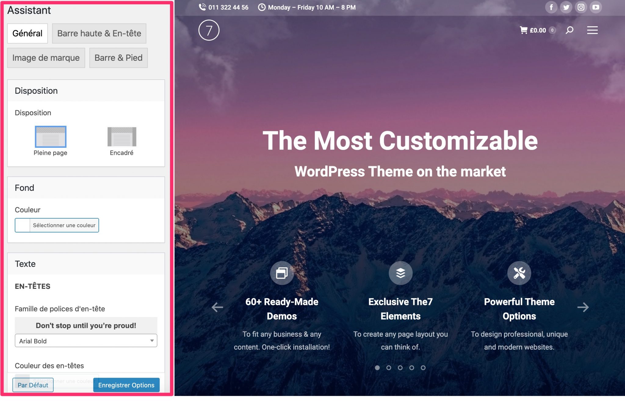 Assistant de design de The7