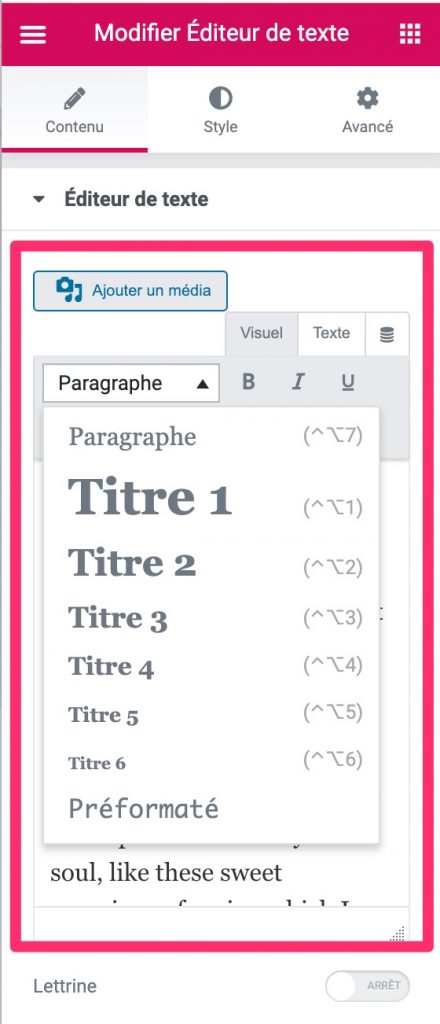 Paramétrage des balises hn sur Elementor