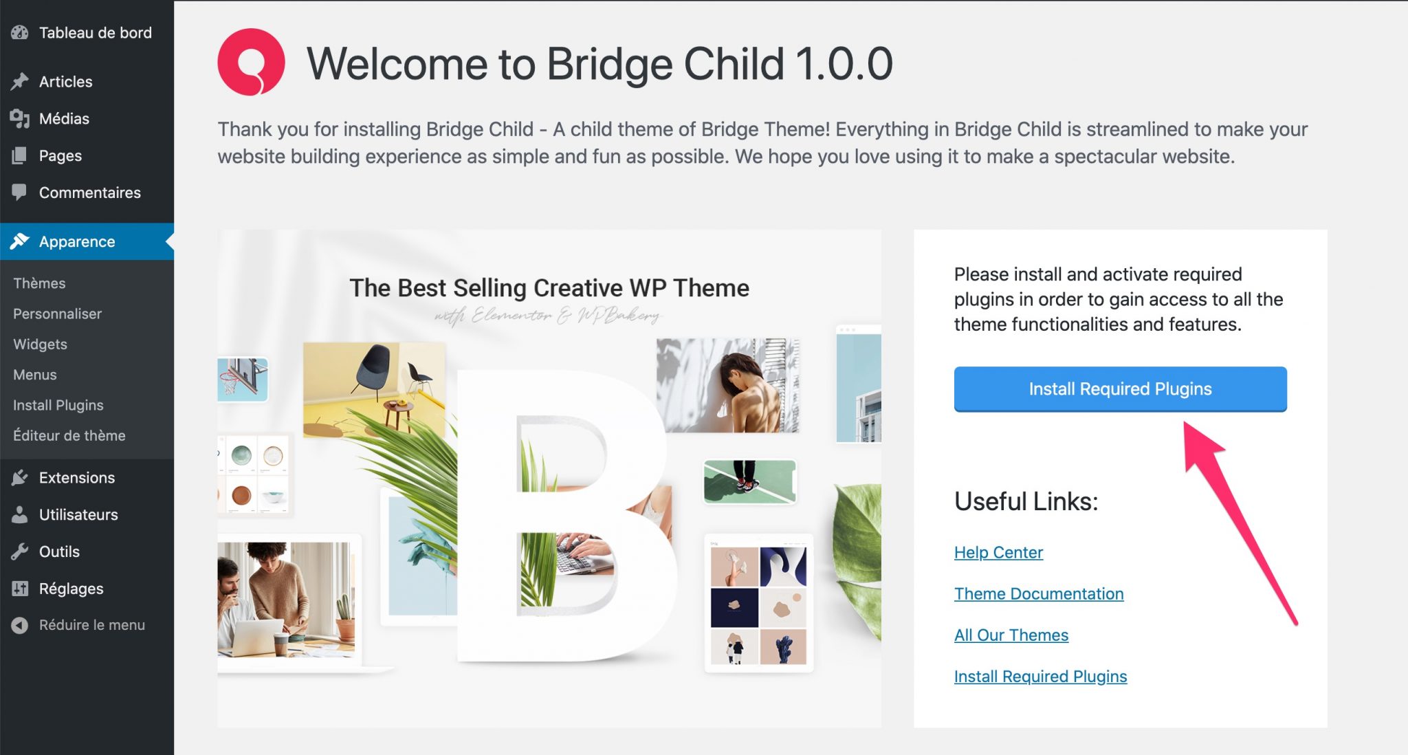 Installer plugins requis Bridge