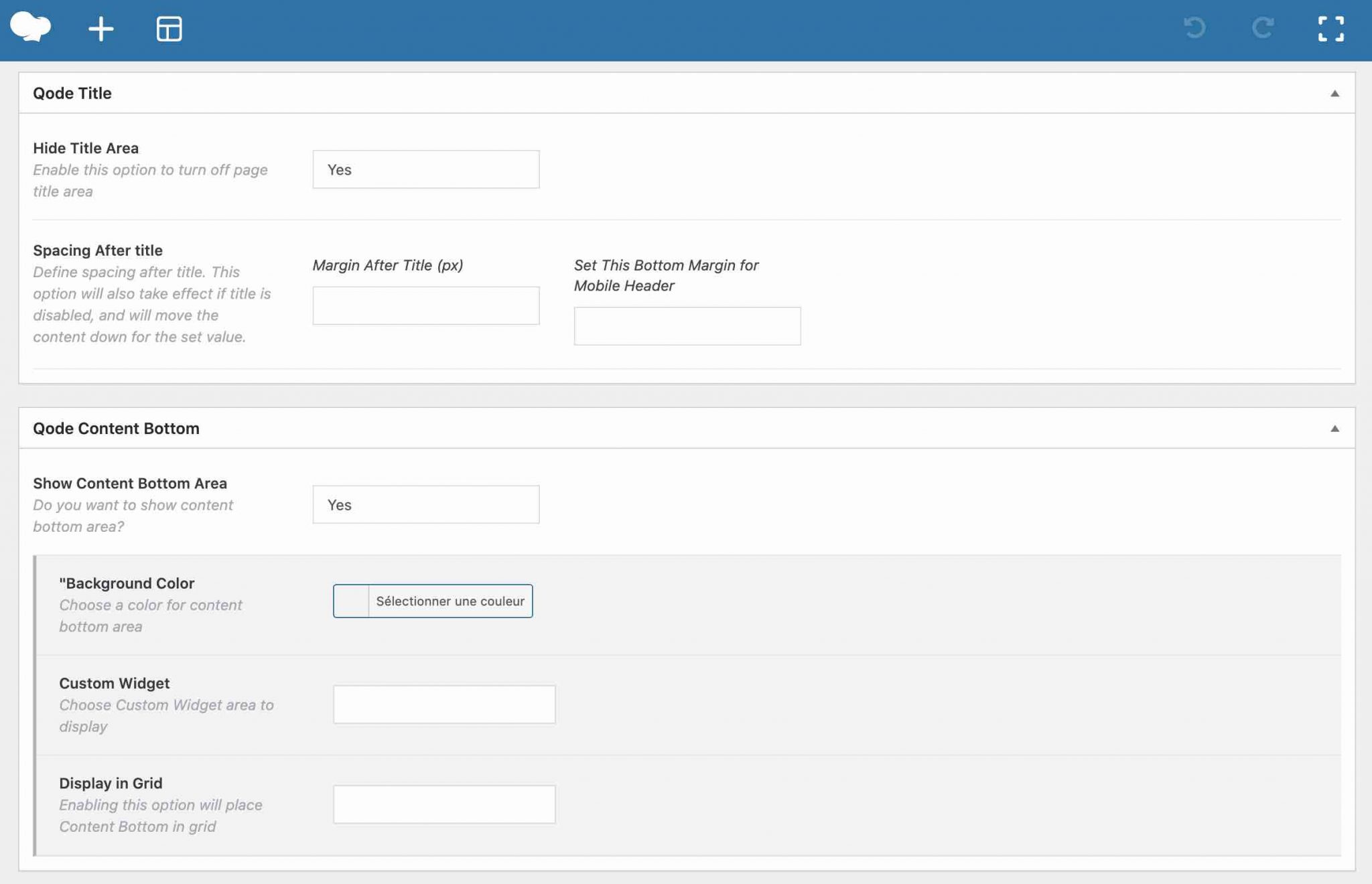 Un petit bout des options spécifiques à une page