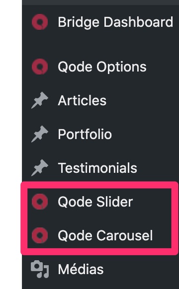 Options additionnelles embarquées par Bridge