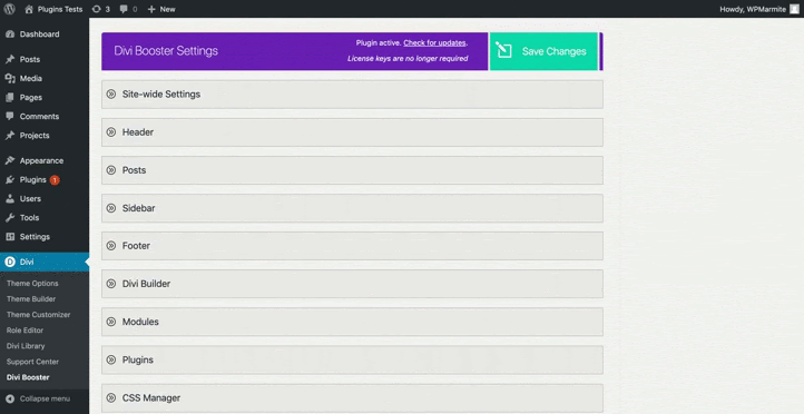 demonstration de Divi Booster