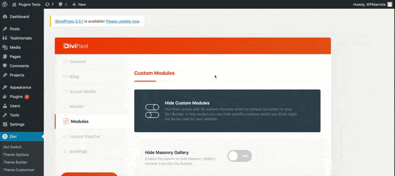 demonstration de divi pixel