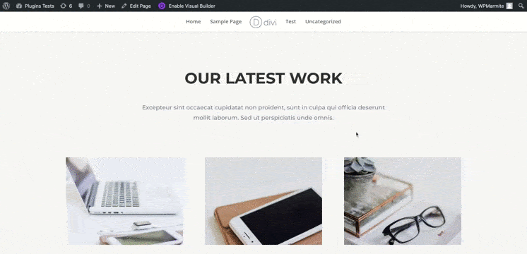 divi switch test with the design agency template