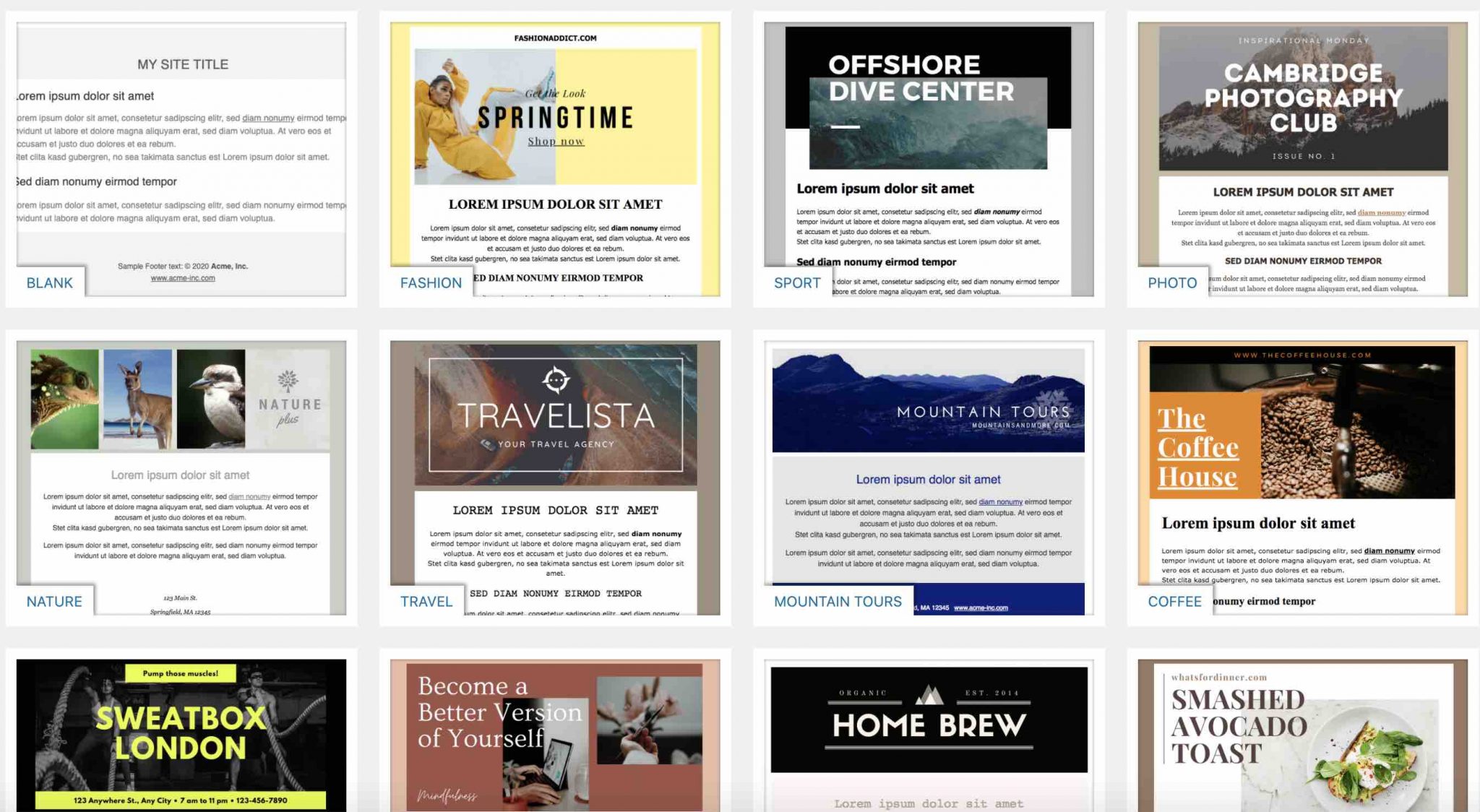 Templates WordPress Email Template Designer