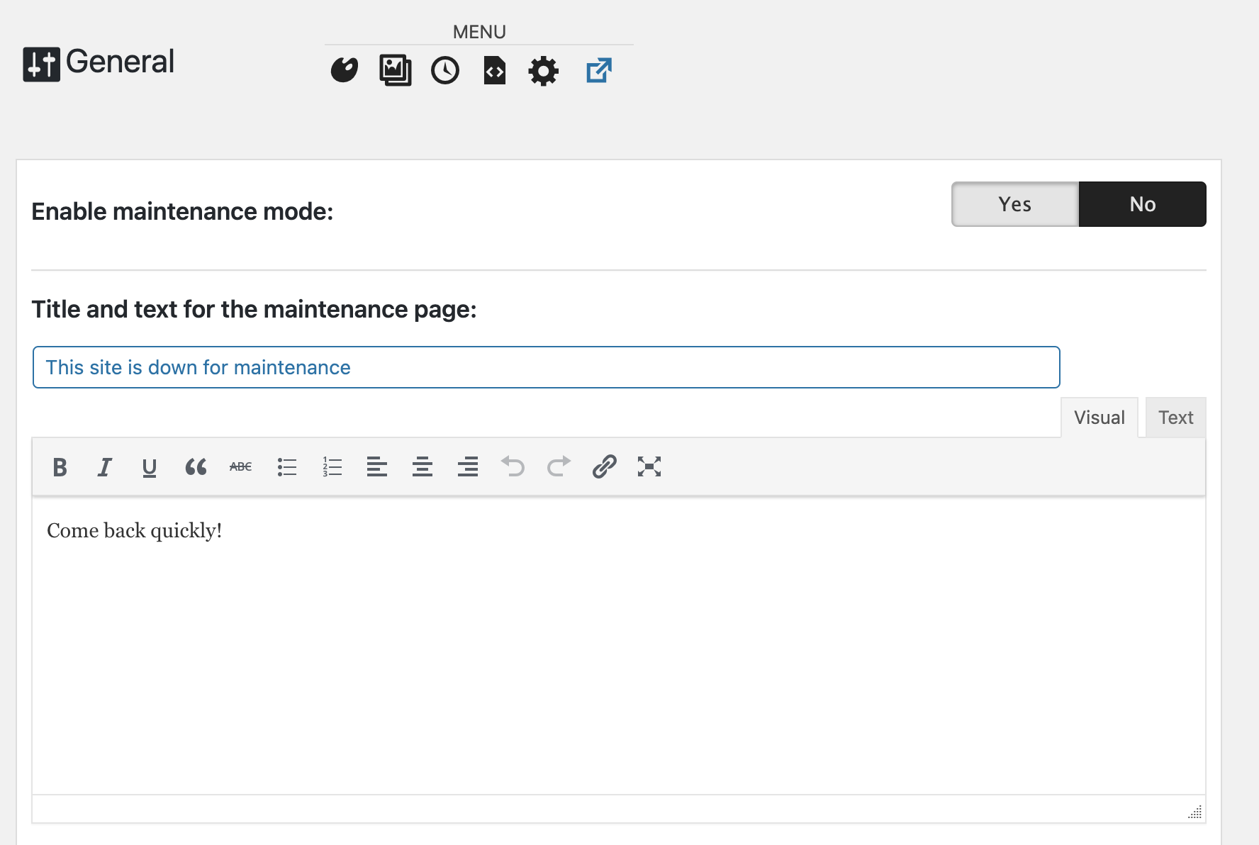 WP Maintenance user-friendly and lightweight interface