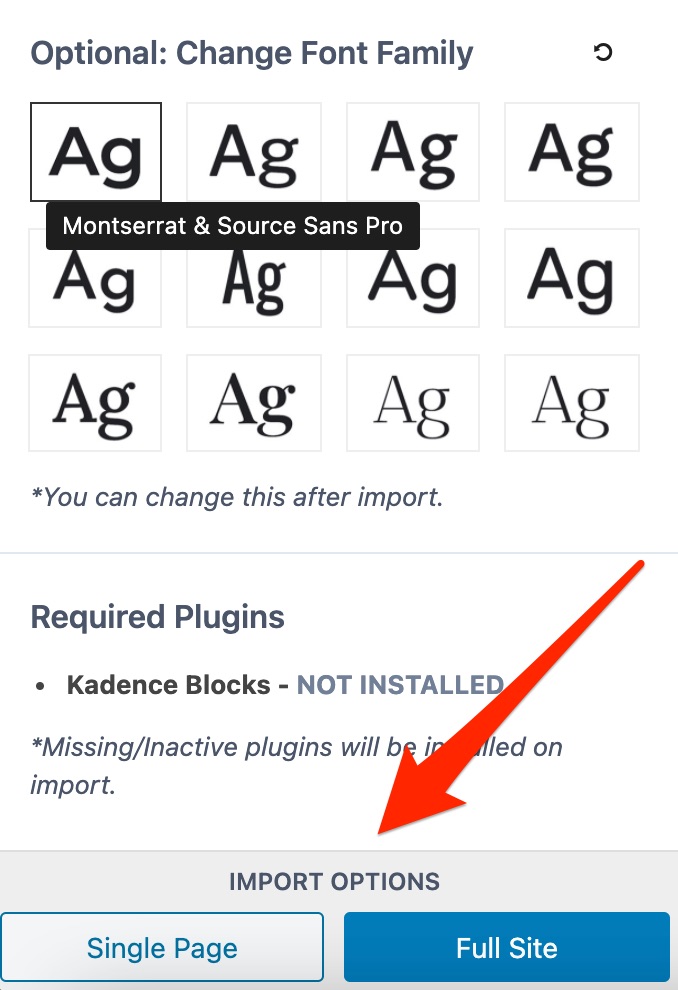 Options d'importation au niveau de la typographie sur Kadence Theme.