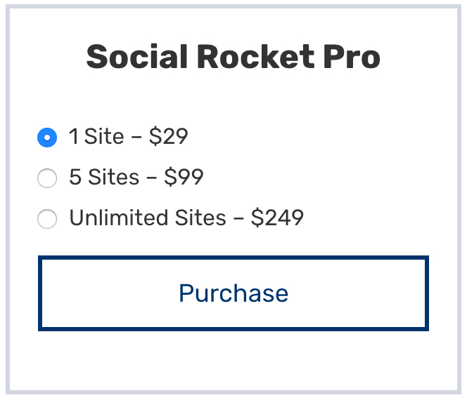 Grille tarifaire de la version professionnelle de Social Rocket.