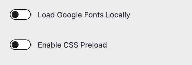 Load Google Fonts Locally and Enable CSS Preload on Kadence theme