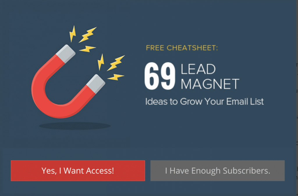 Example of a lead magnet