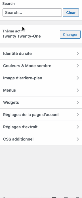Le formulaire proposé par Customizer Search.