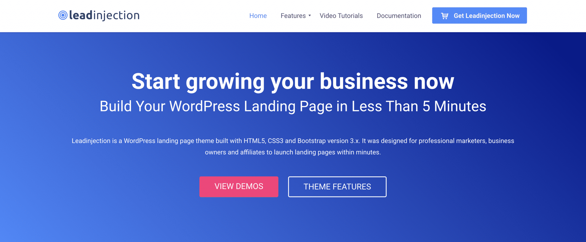 Le thème Leadinjection vous aidera à convertir vos visiteurs.