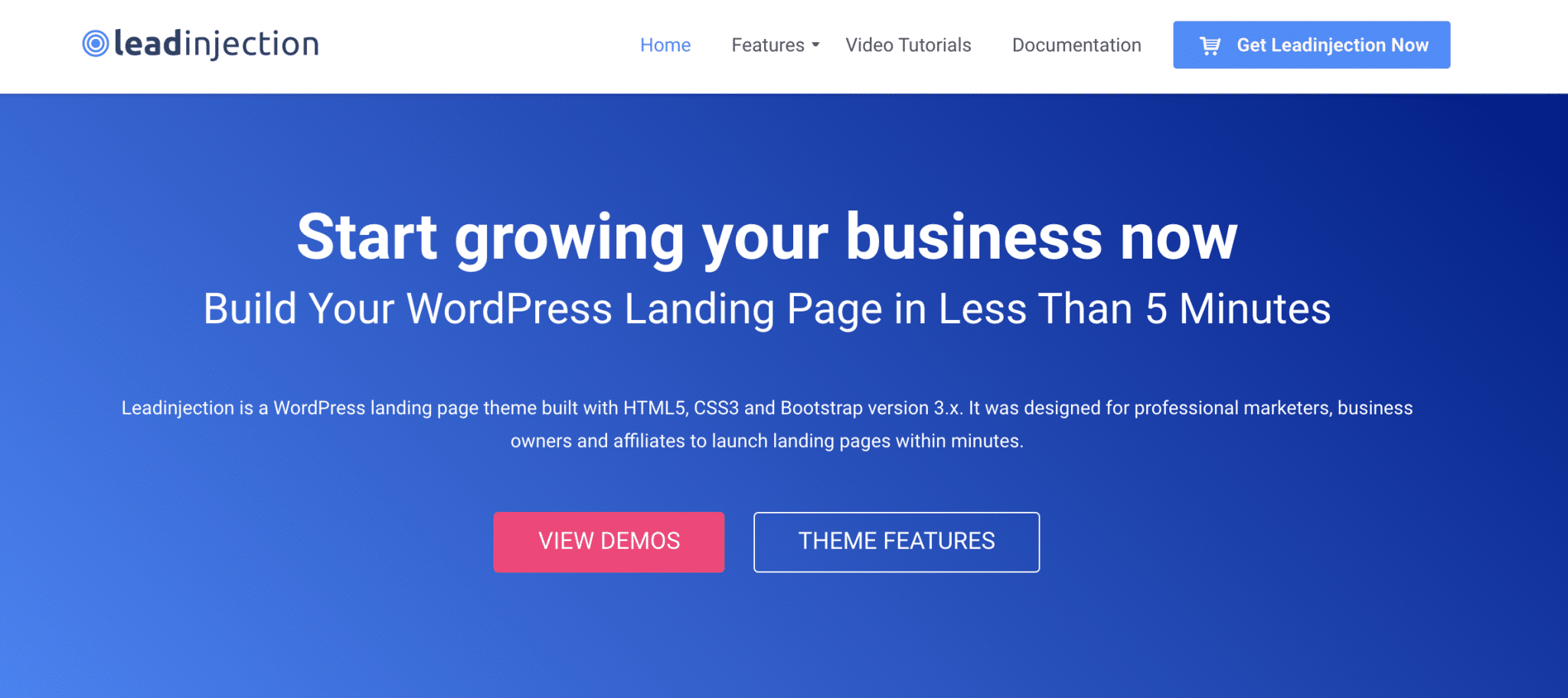 Leadinjection theme to build your WordPress landing page.