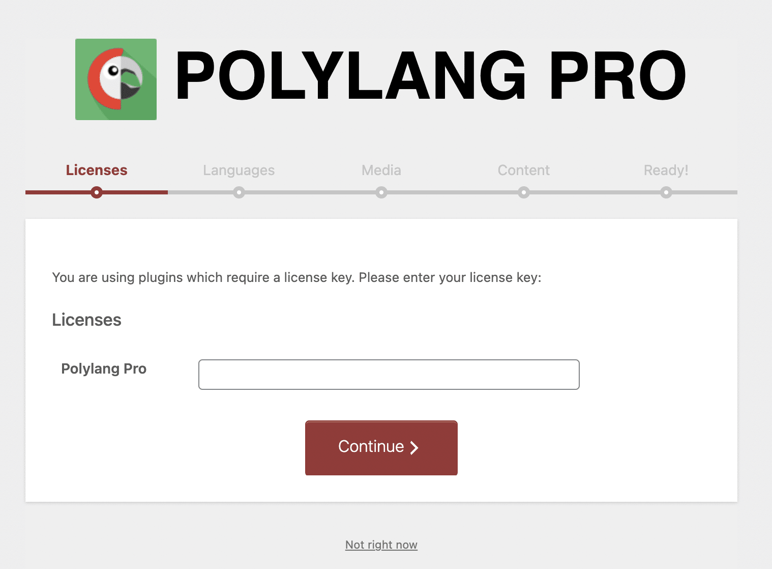Polylang Pro license key.
