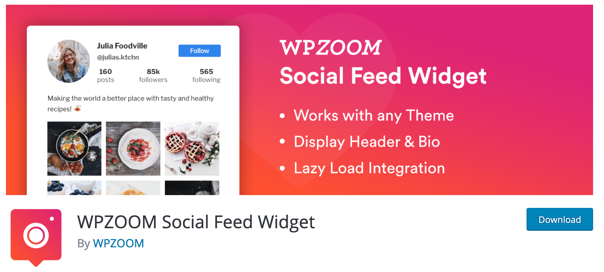 WPZoom Social Feed Widget plugin on WordPress directory.