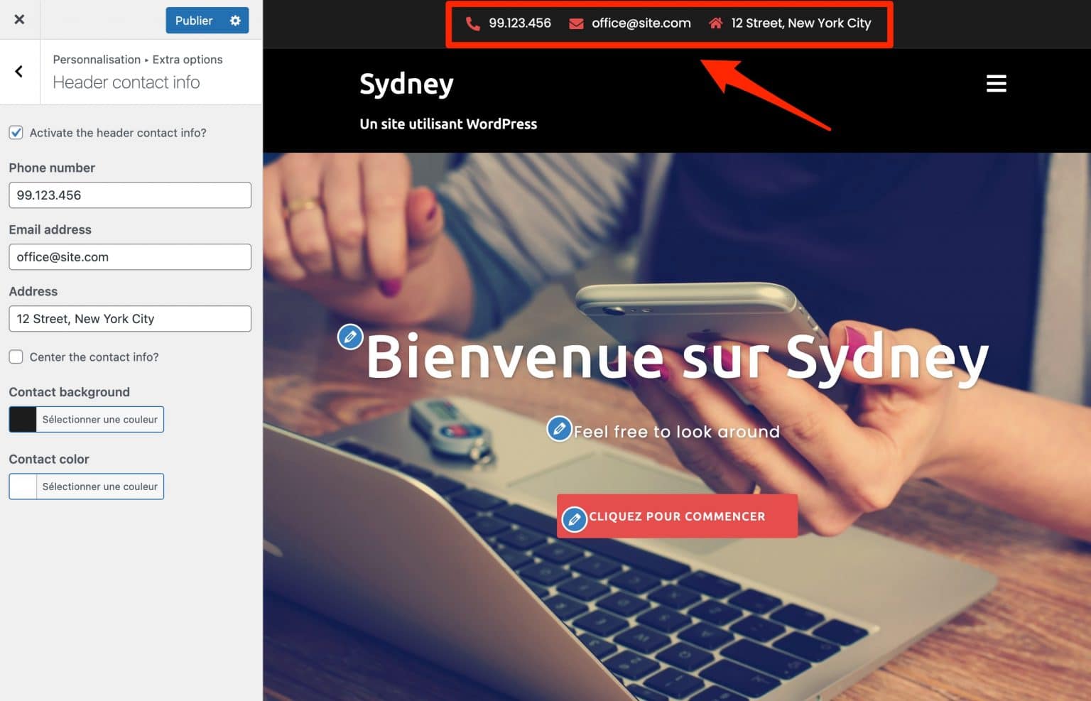 Sydney permet d'ajouter des informations de contact dans le header.