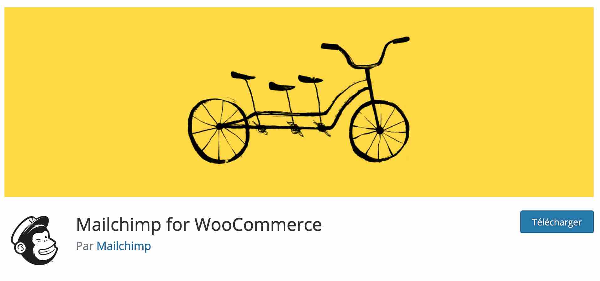 L'extension Mailchimp for WooCommerce.