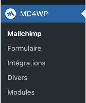 Le menu de l'extension Mailchimp for WordPress.