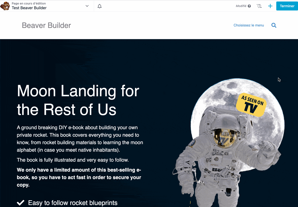 L'Outlin ePanel proposé par Beaver Builder.