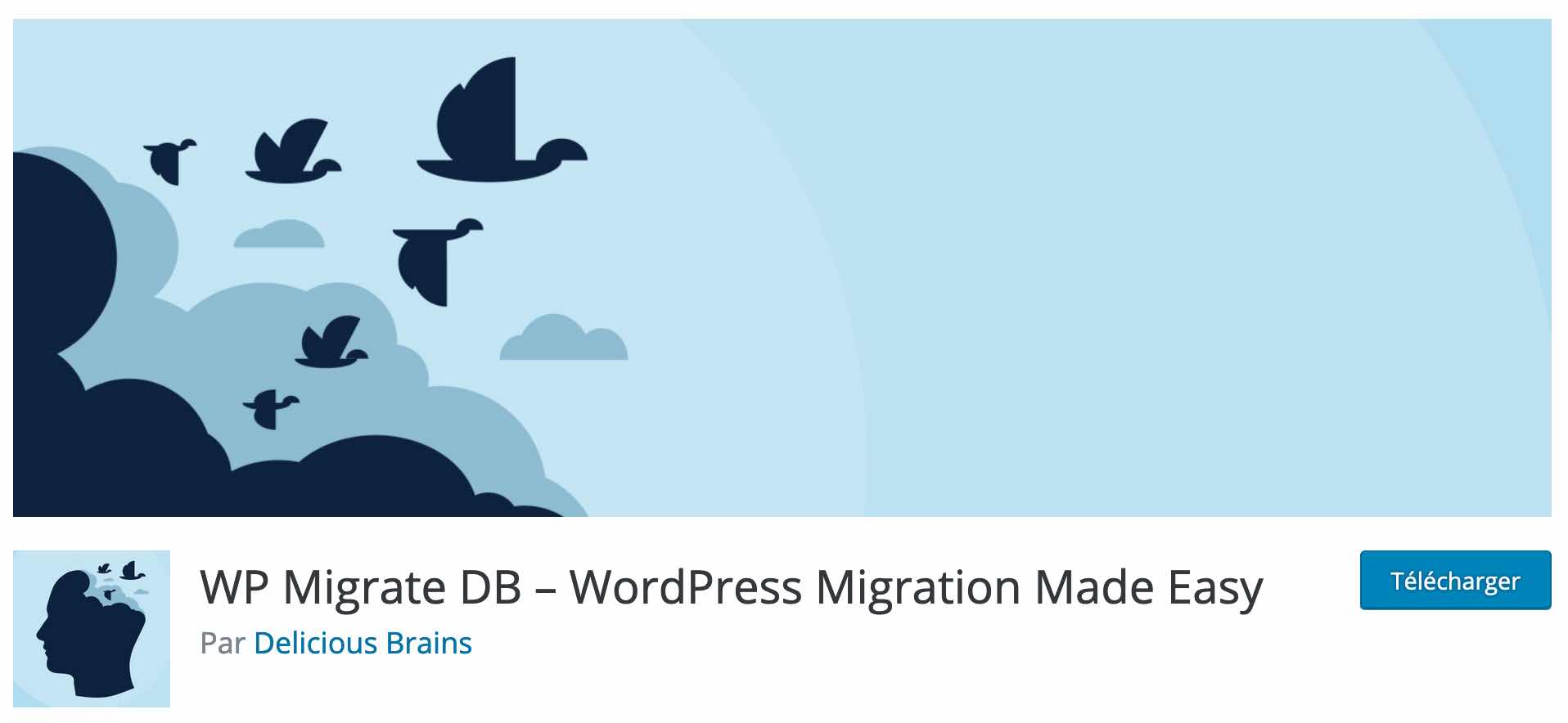 WP Migrate DB.