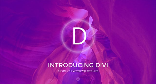 Démo « Landing » de Divi.