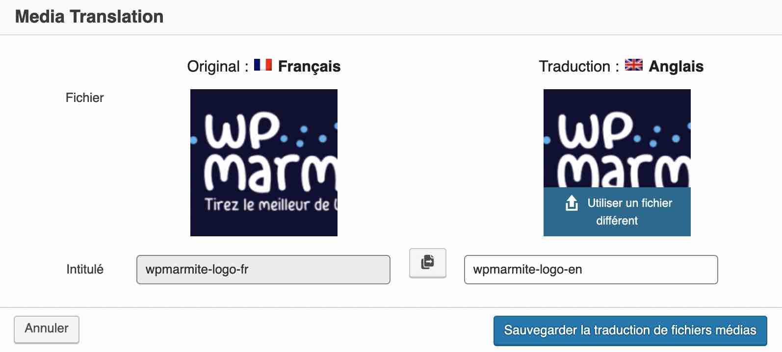 Traduction d'un logo avec WPML.
