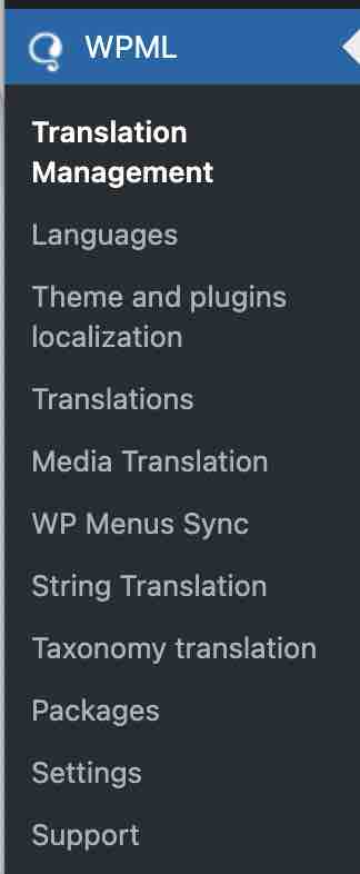 This is what the WPML settings menu looks like.