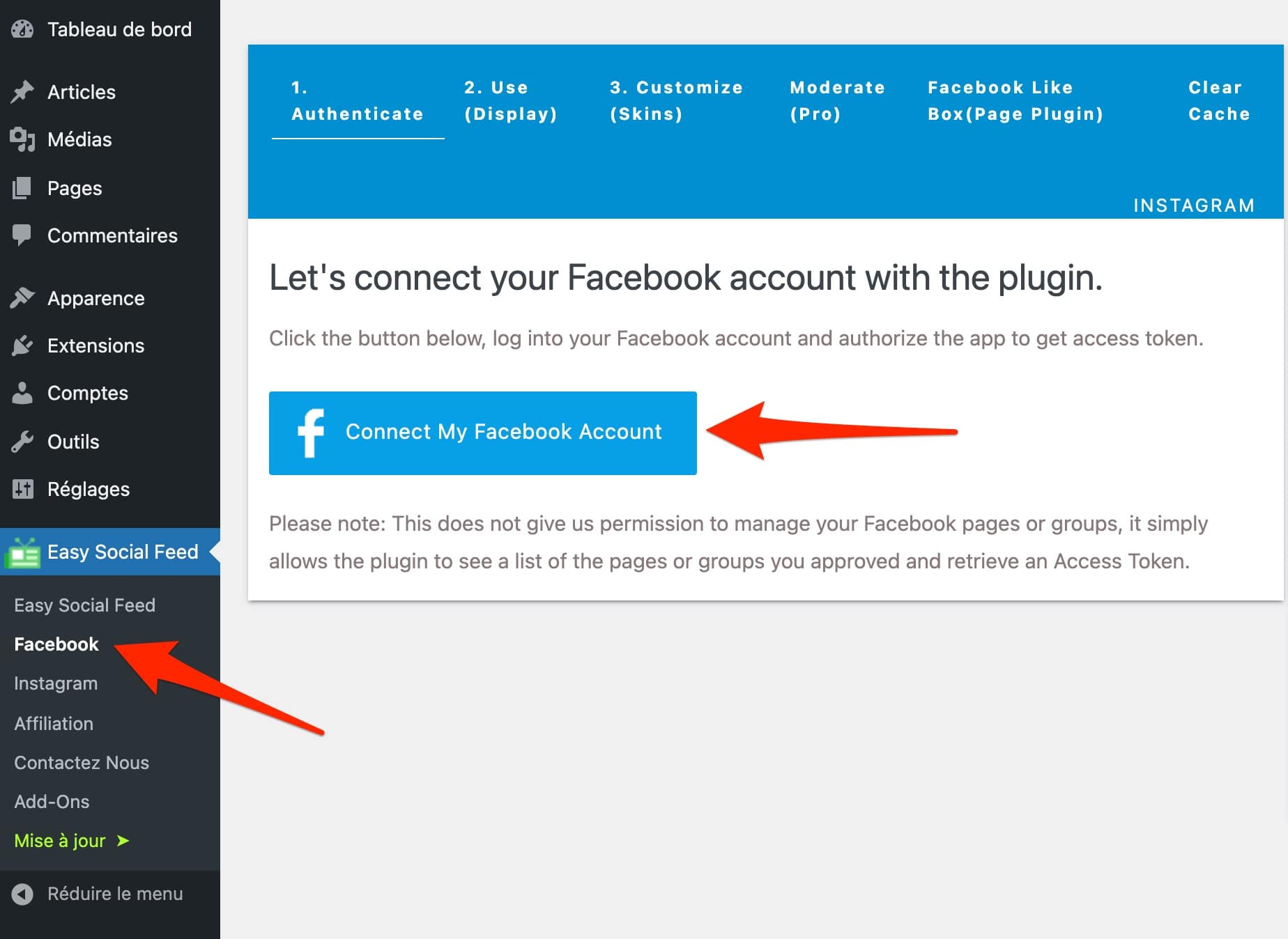Connecter un compte Facebook au plugin Easy Social Feed Facebook sur WordPress.
