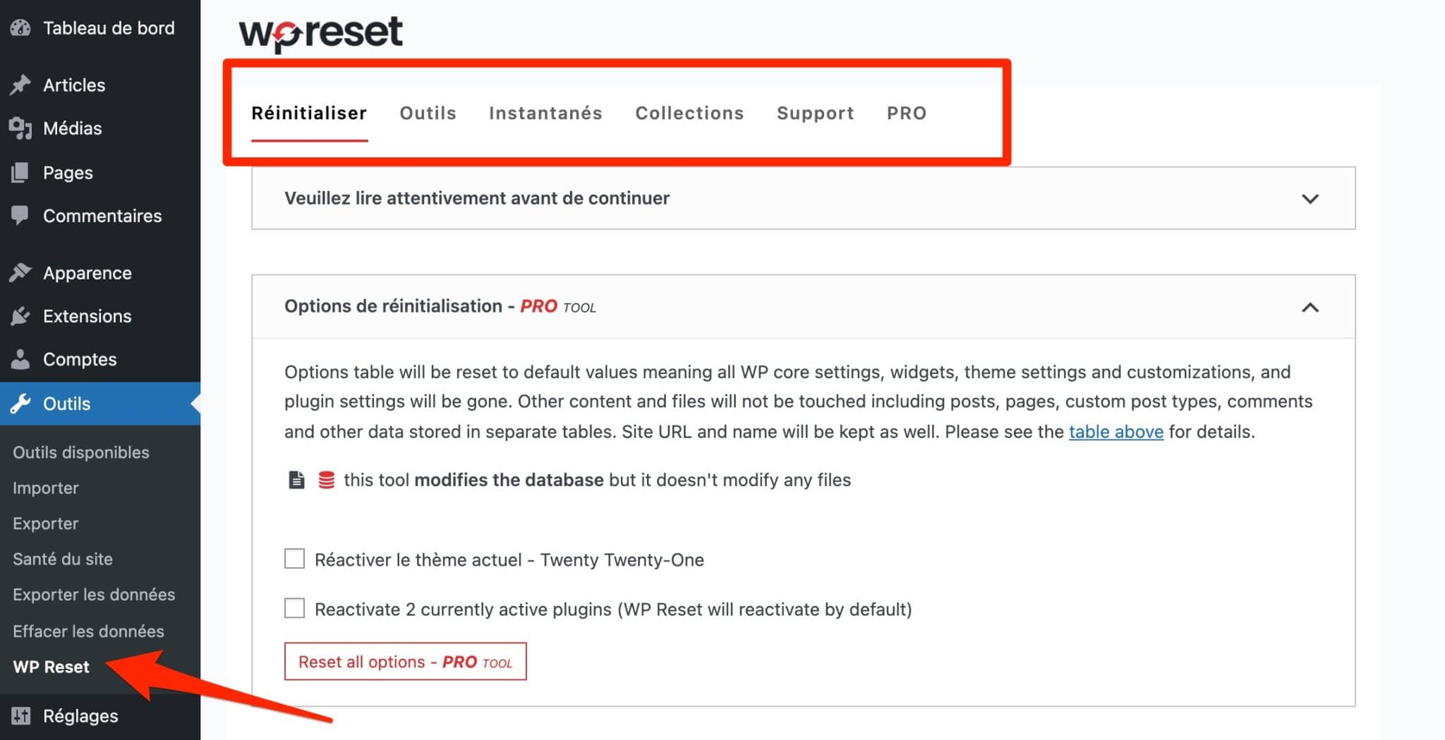 Les onglets proposés par WP Reset.