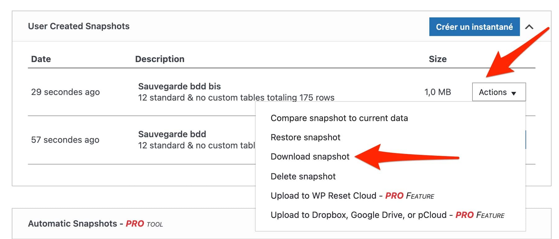WP Reset permet de télécharger une base de données lors de la réinitialisation de WordPress.