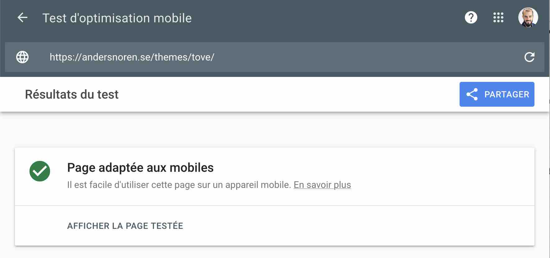 Test d'optilisation mobile de Google effectué sur le thème Tove.