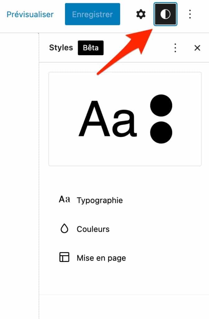 La fonctionnalité Global Styles de l'éditeur de contenu est utilisée par Frost.
