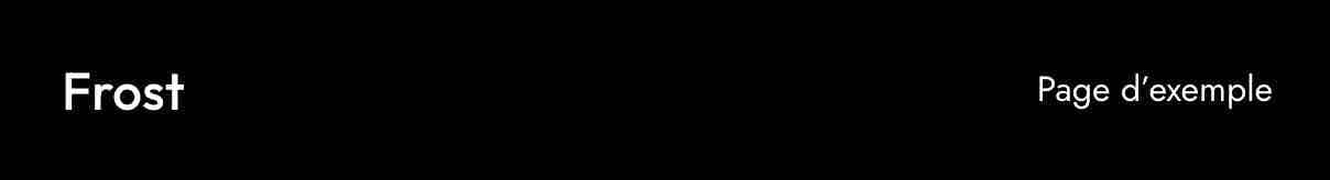 L’un des 2 modèles de headers proposés par Frost.