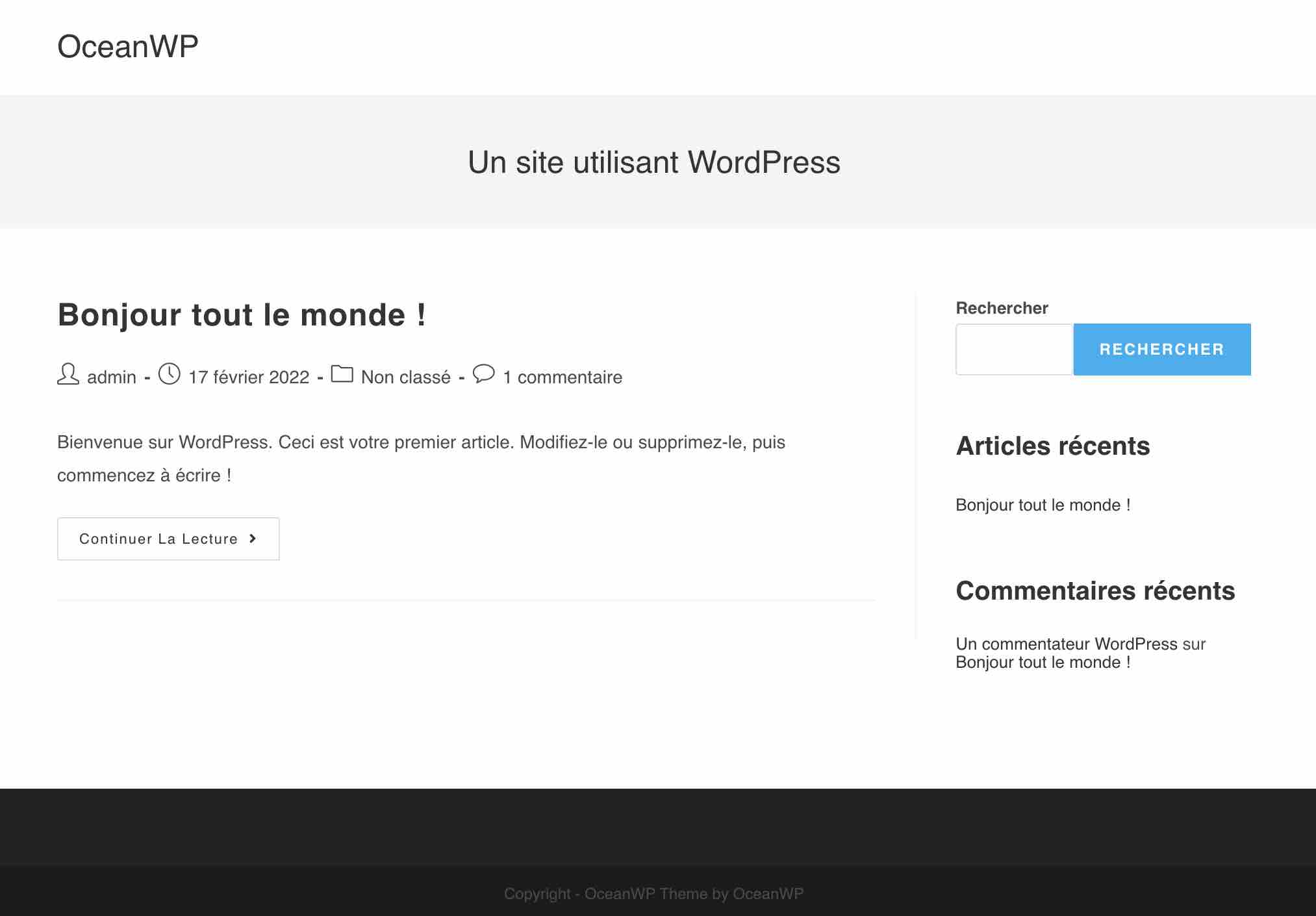 Aperçu d'OceanWP en front-end.